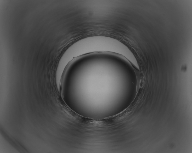 X0000090950428200708241133