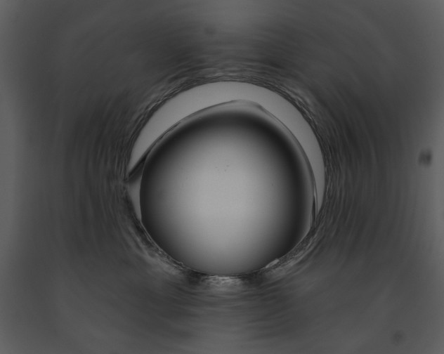 X0000090950429200708241133