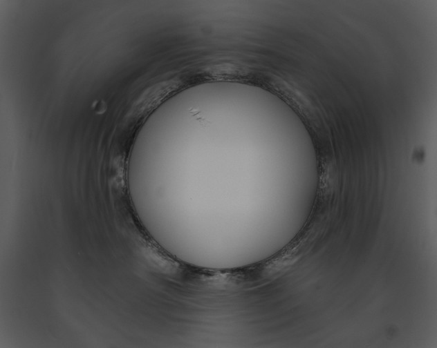 X0000090950430200708241133