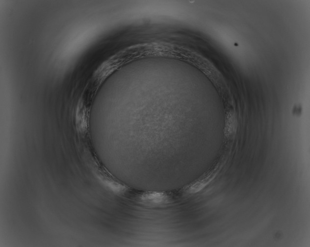 X0000090950431200708241133