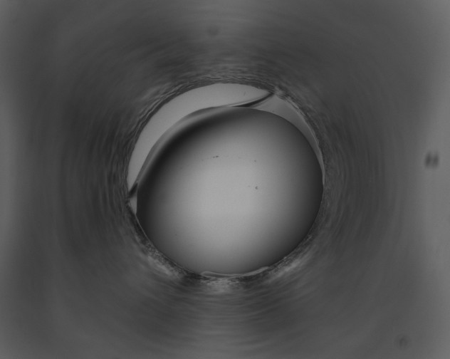 X0000090950432200708241133