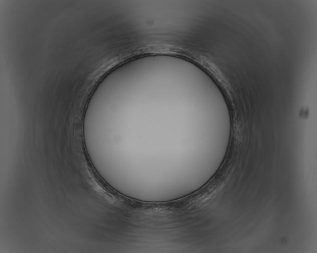 X0000090950433200708241132