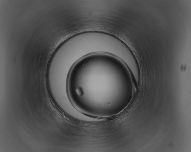 X0000090950434200708241132