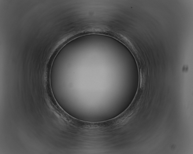 X0000090950435200708241132