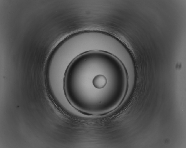 X0000090950436200708241132