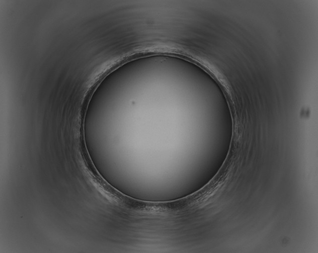X0000090950437200708241132