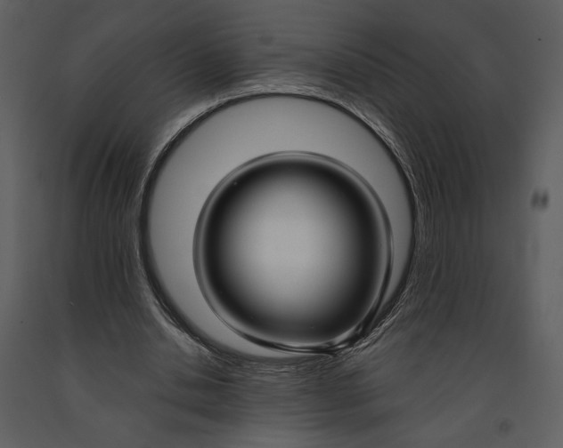 X0000090950438200708241132