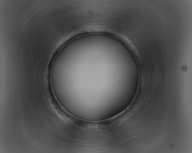 X0000090950439200708241132