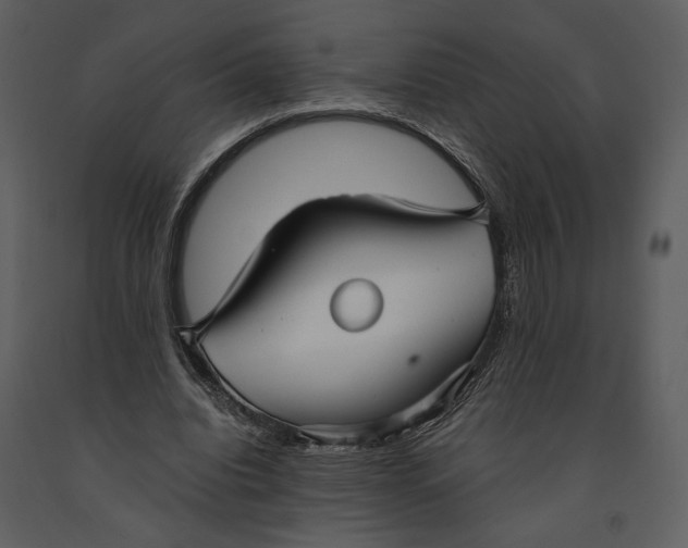 X0000090950440200708241132