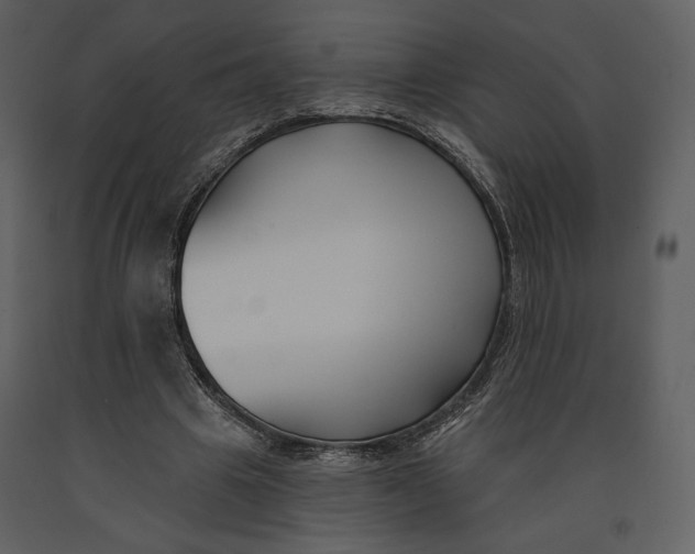 X0000090950441200708241133