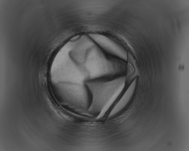 X0000090950443200708241133