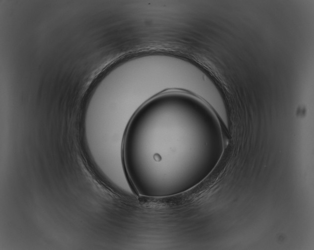 X0000090950444200708241133