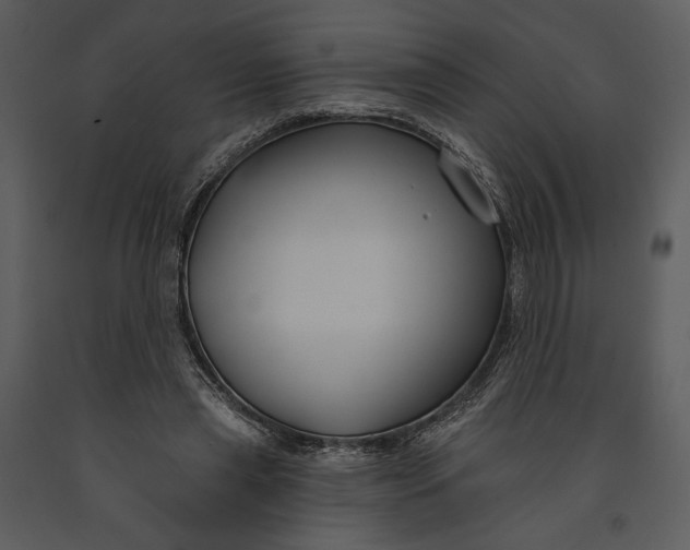 X0000090950445200708241133