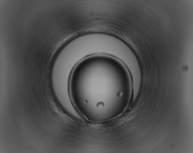 X0000090950446200708241133