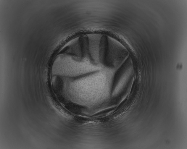 X0000090950447200708241133