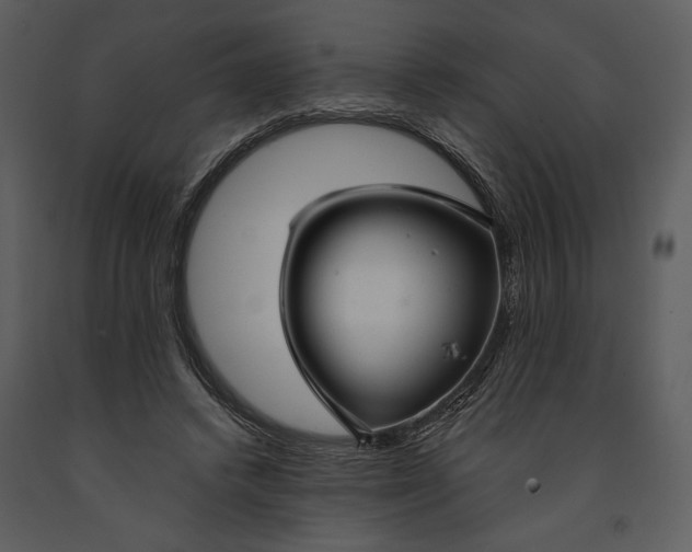 X0000090950448200708241133