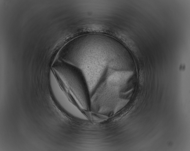 X0000090950449200708241133