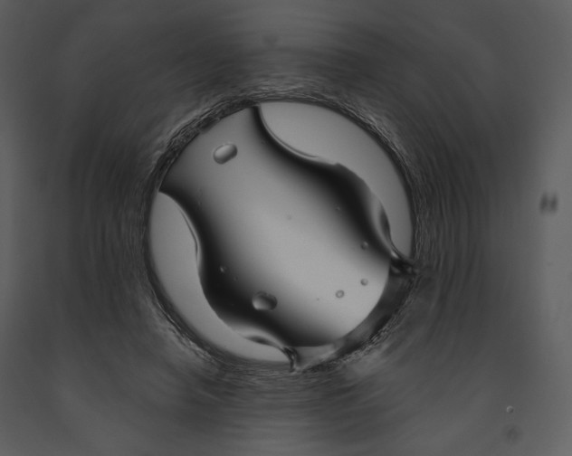 X0000090950450200708241133