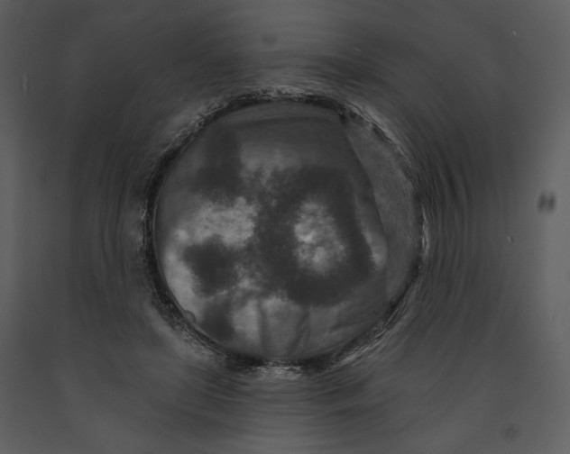 X0000090950451200708241133