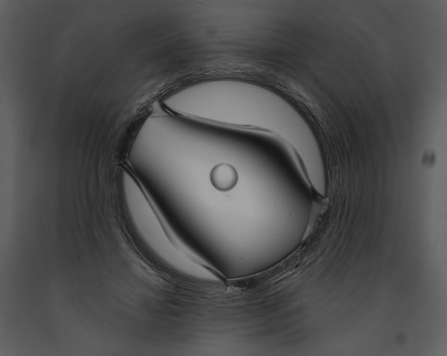 X0000090950452200708241133