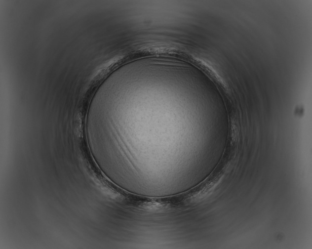 X0000090950453200708241133