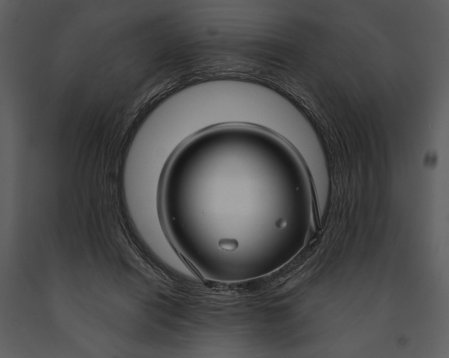 X0000090950454200708241133