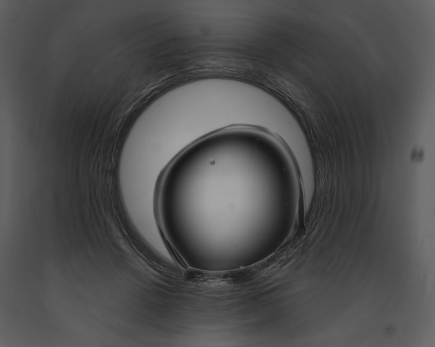 X0000090950456200708241133
