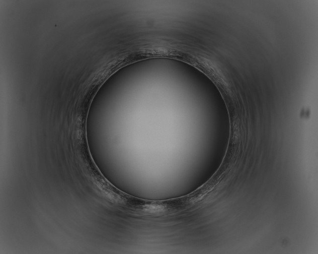 X0000090950457200708241133