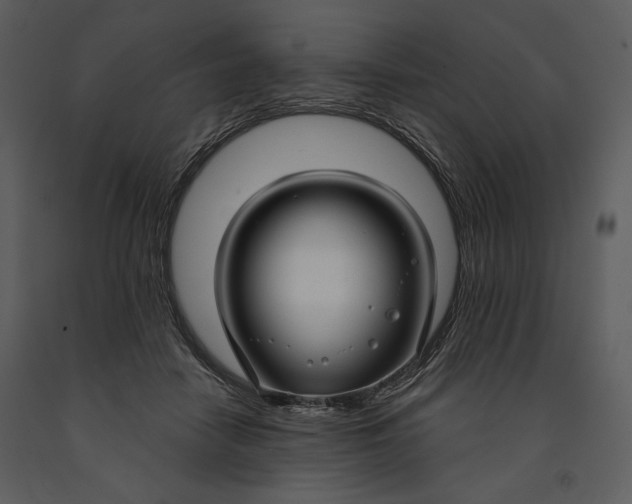 X0000090950458200708241133