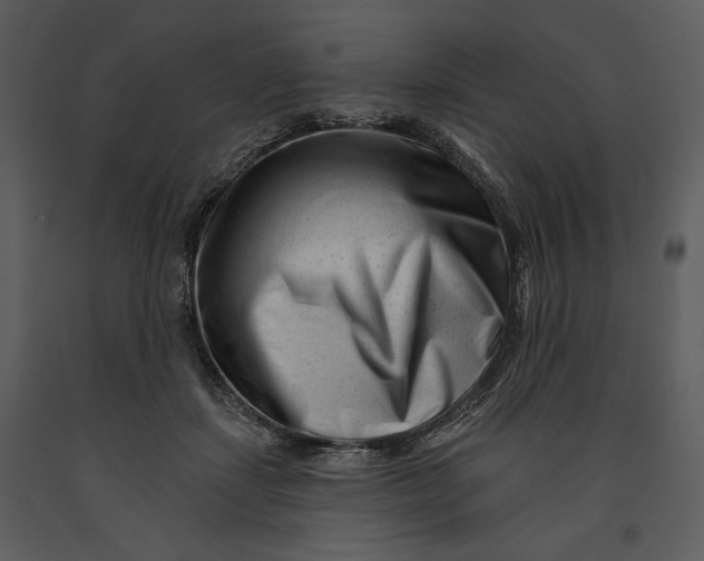 X0000090950459200708241133