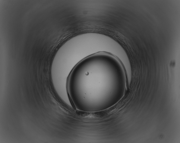 X0000090950460200708241133