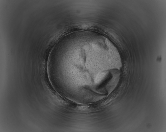 X0000090950461200708241133