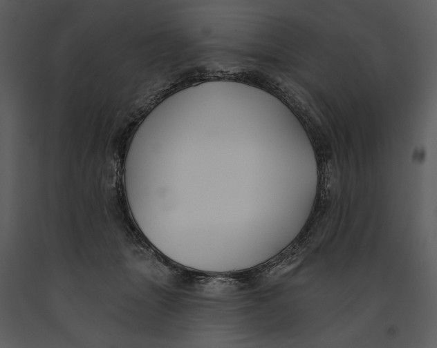 X0000090950463200708241133