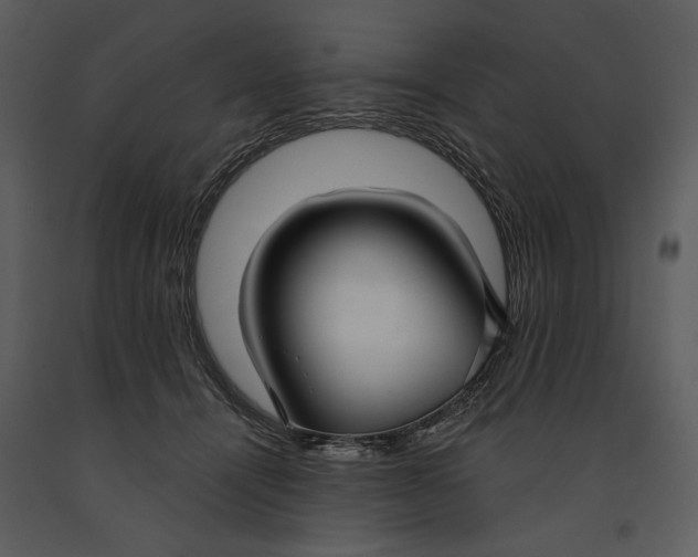 X0000090950464200708241133