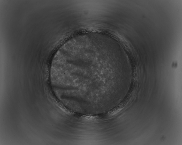 X0000090950465200708241133