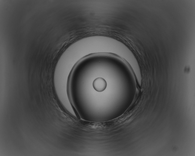 X0000090950466200708241133