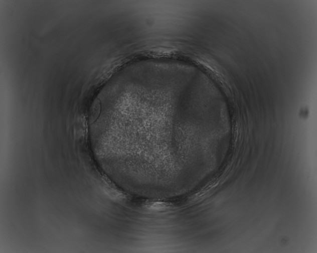 X0000090950467200708241133