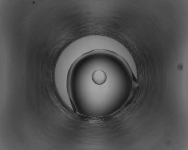 X0000090950468200708241133