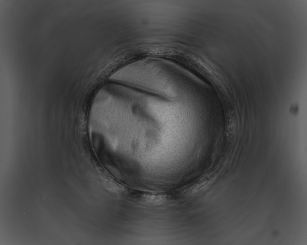 X0000090950469200708241133