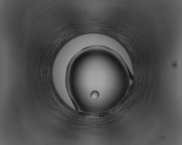 X0000090950470200708241133