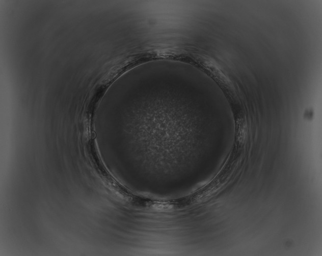 X0000090950471200708241133