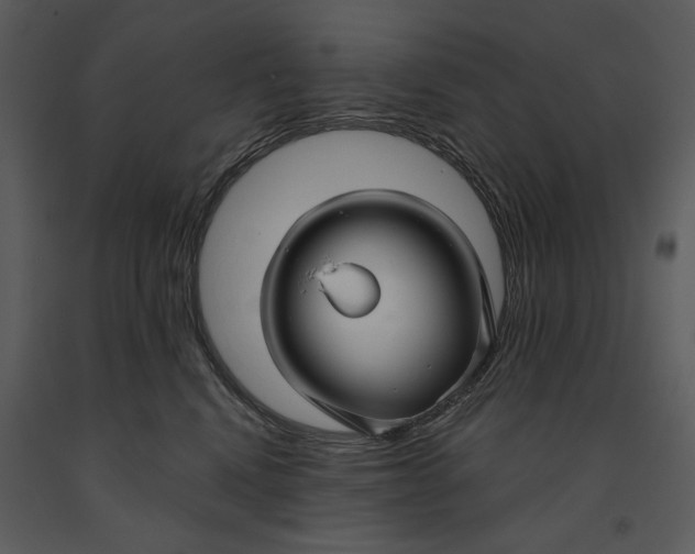 X0000090950472200708241133
