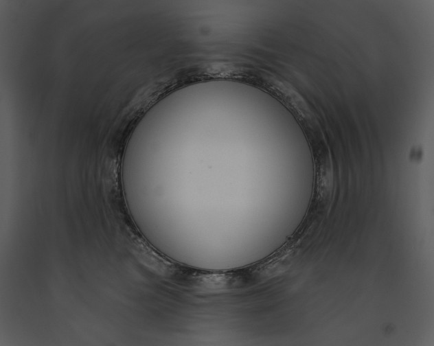X0000090950473200708241133