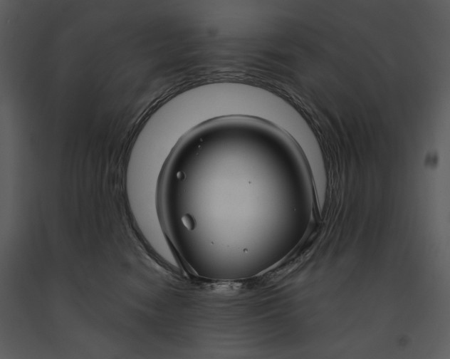 X0000090950474200708241133