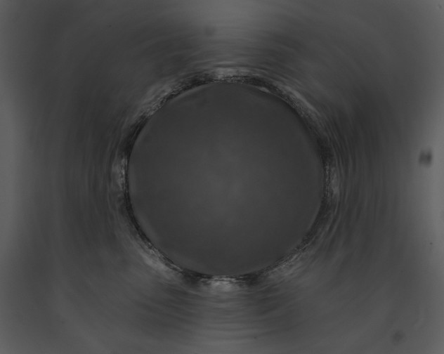 X0000090950475200708241133