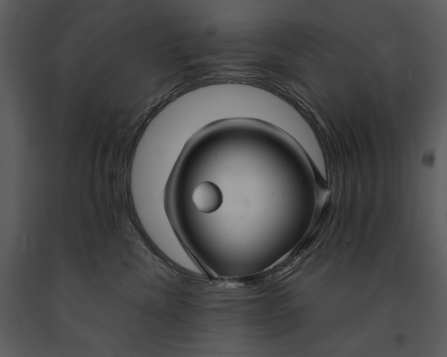 X0000090950476200708241133