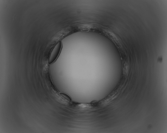 X0000090950477200708241133