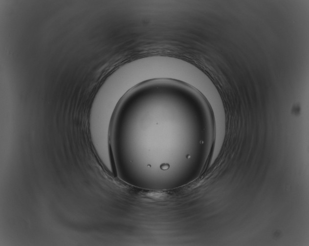 X0000090950478200708241133