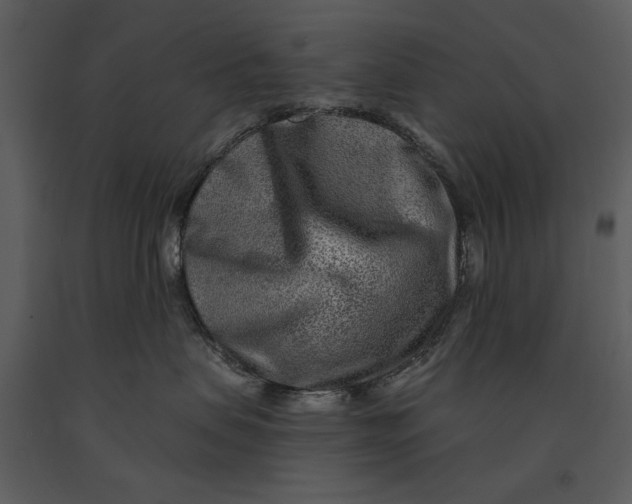 X0000090950479200708241133
