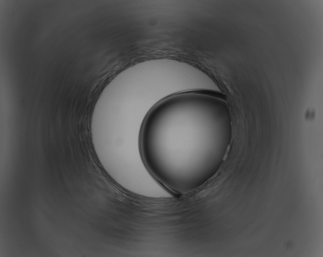 X0000090950480200708241133